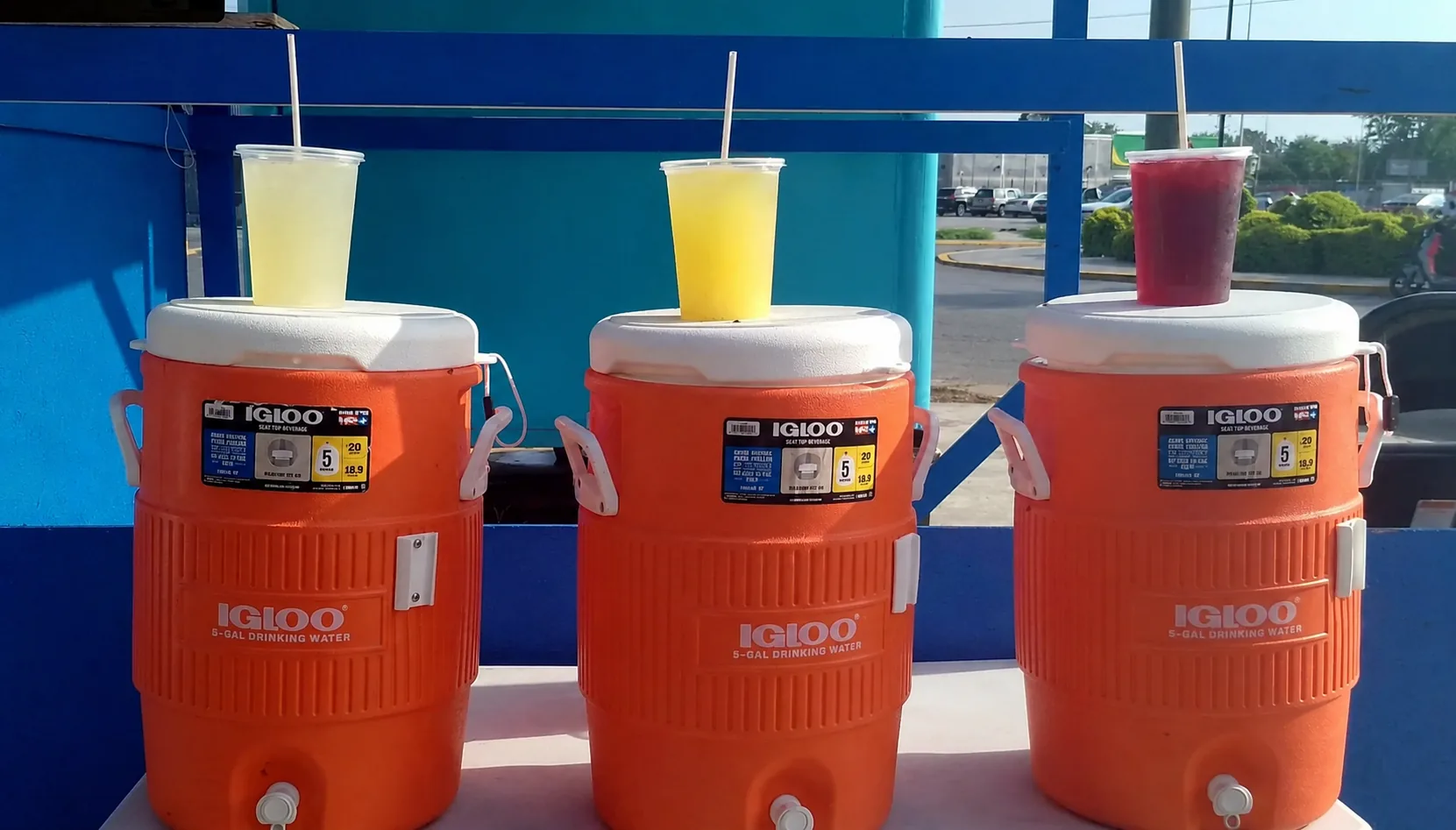 Aguas frescas de jamaica y limón en termo Igloo